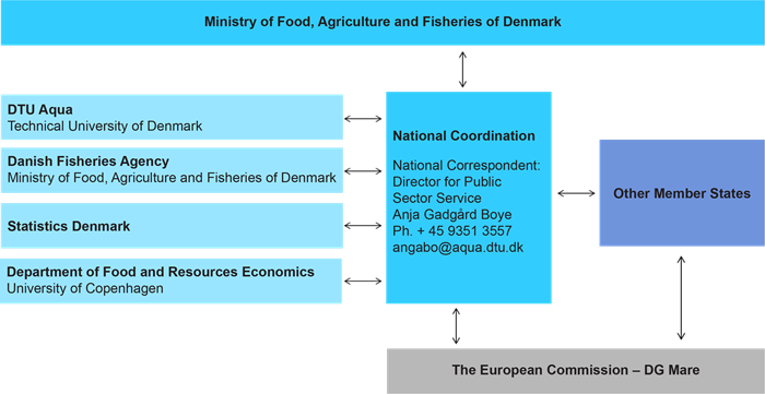 Structure of DCF in Denmark