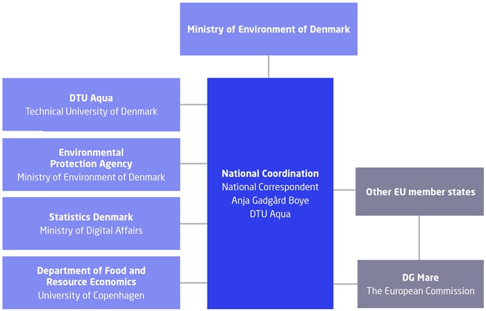 Structure of DCF Denmark