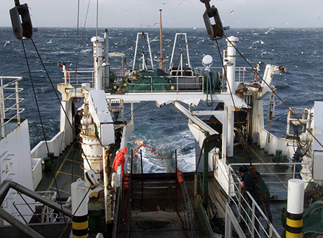The research vessel Dana in the North Sea. Photo: Line Reeh